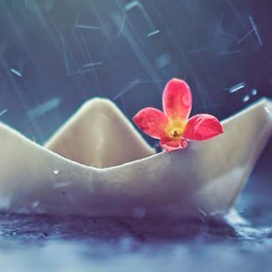 Meet your Posher, Kristy